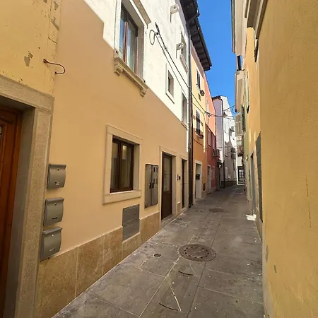 Portea - New 2025 Apartment *