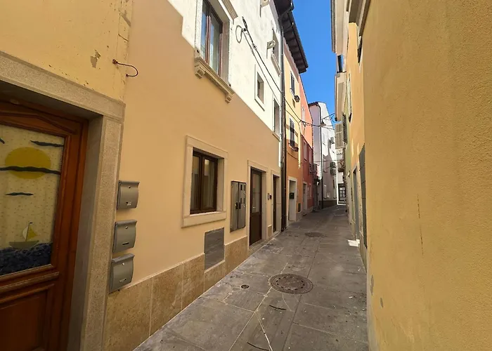 Portea - New 2025 Daire *